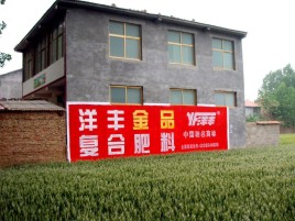 会东如何让墙体广告展现最大化效果