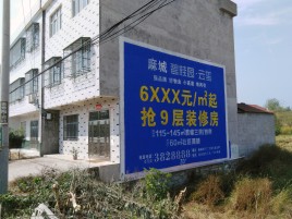 会东墙体广告质量分析