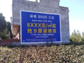 会东品牌公司青睐的墙体广告