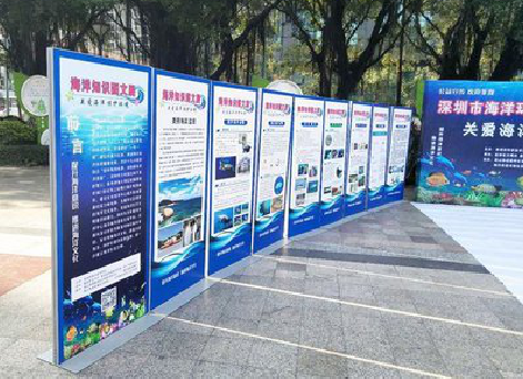 会东KT板的种类和知识。